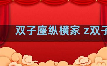 双子座纵横家 z双子座